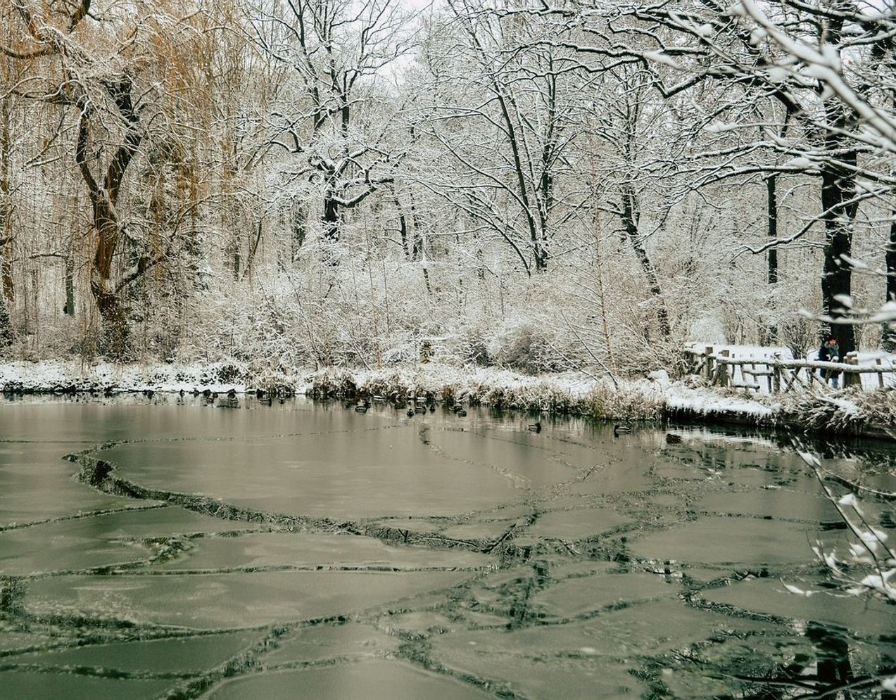 Un esperto di pesca invernale che consulta le misurazioni dello spessore del ghiaccio presso una finestra